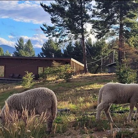 Apartament Turismo Y Cabanas Dragon De La Patagonia Cochrane Zewnętrze zdjęcie