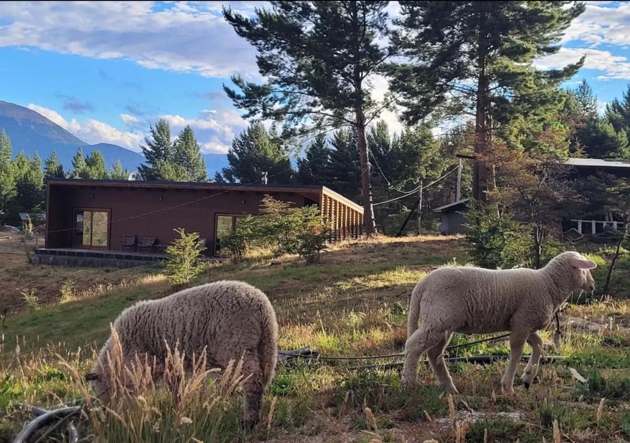 Apartament Turismo Y Cabanas Dragon De La Patagonia Cochrane Zewnętrze zdjęcie